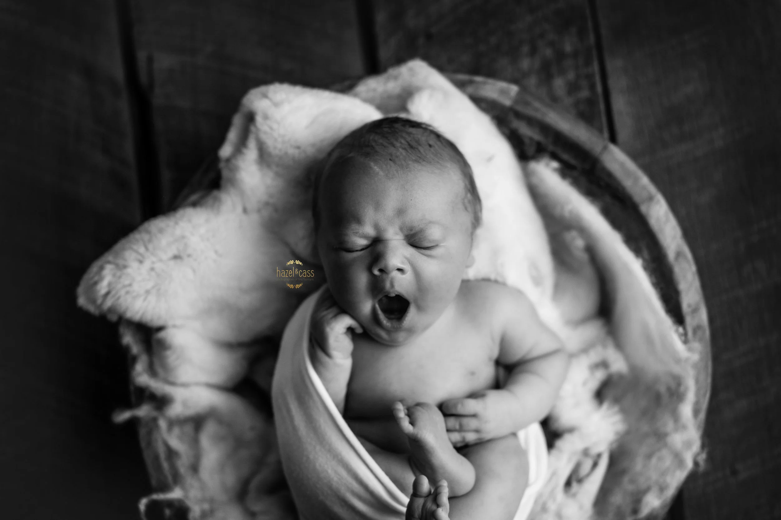 20170505 Arlo-12-2.jpg