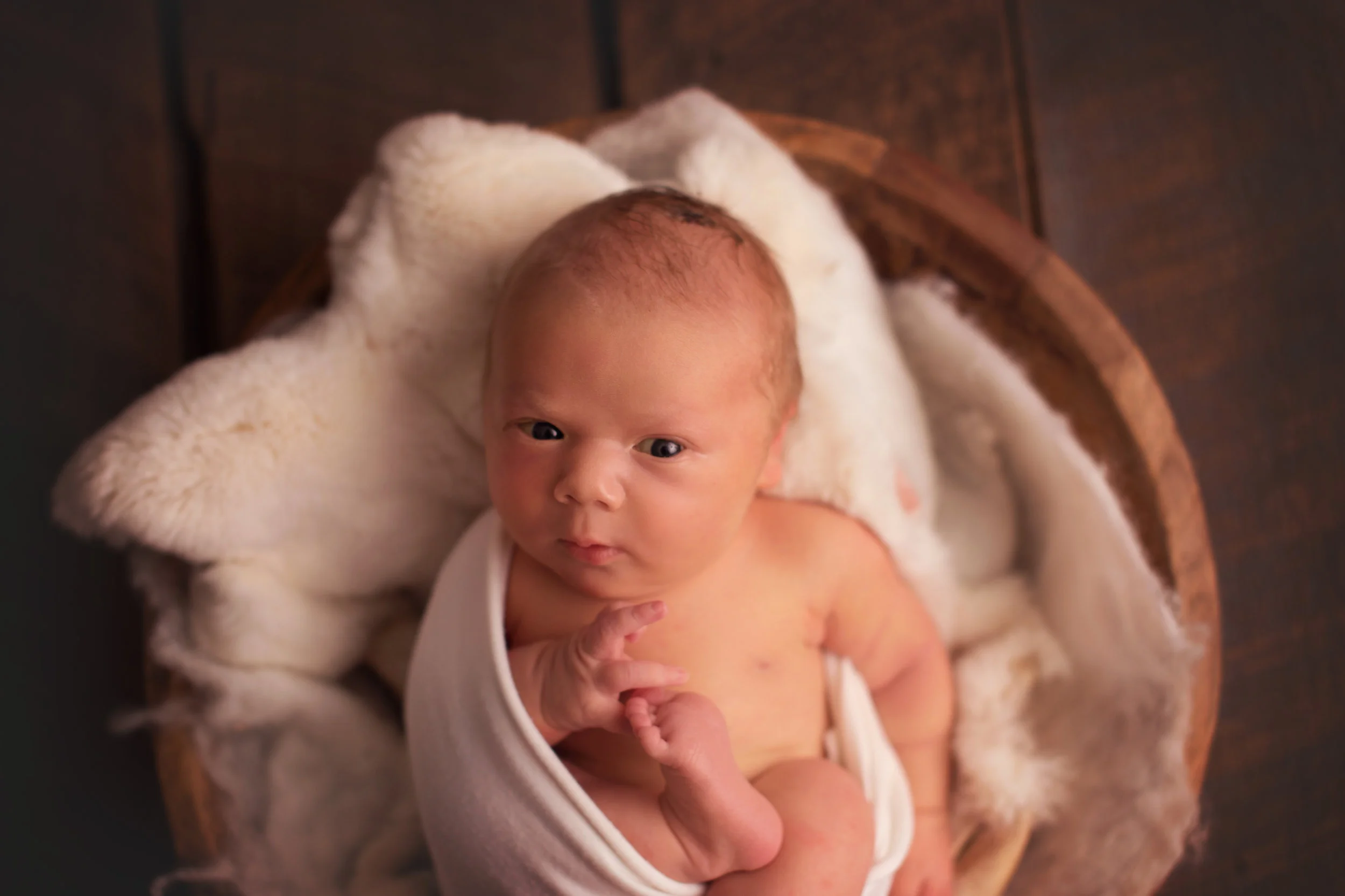 20170505 Arlo-13.jpg