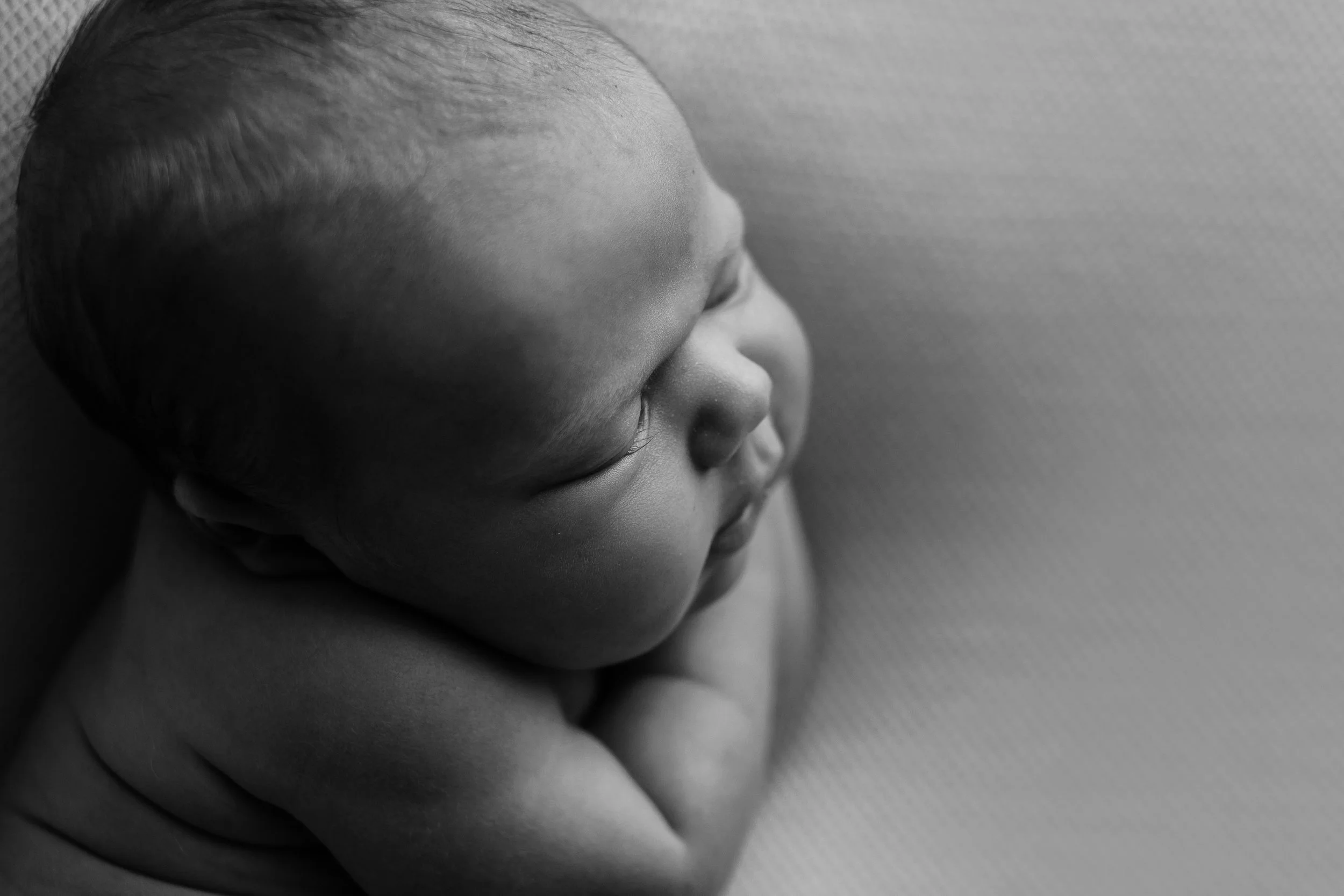20170505 Arlo-19-2.jpg