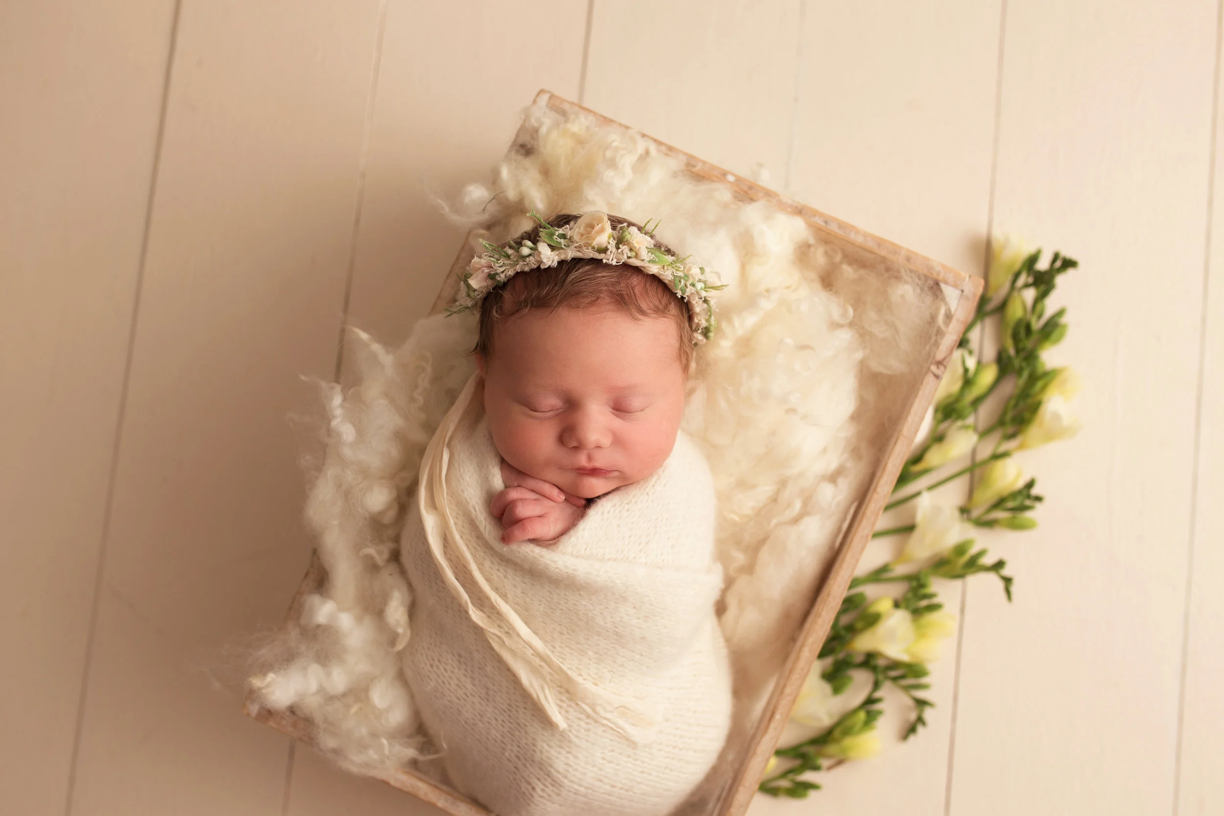 20170419 Riley-1.jpg