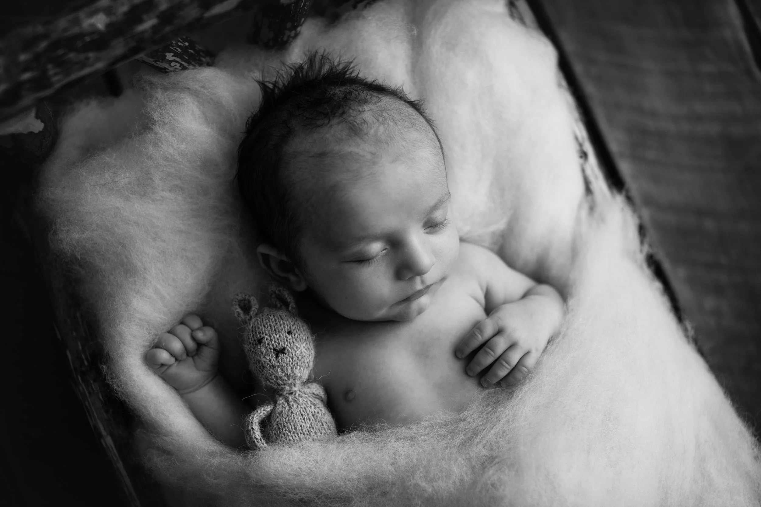 20170528 Carter-15-2.jpg