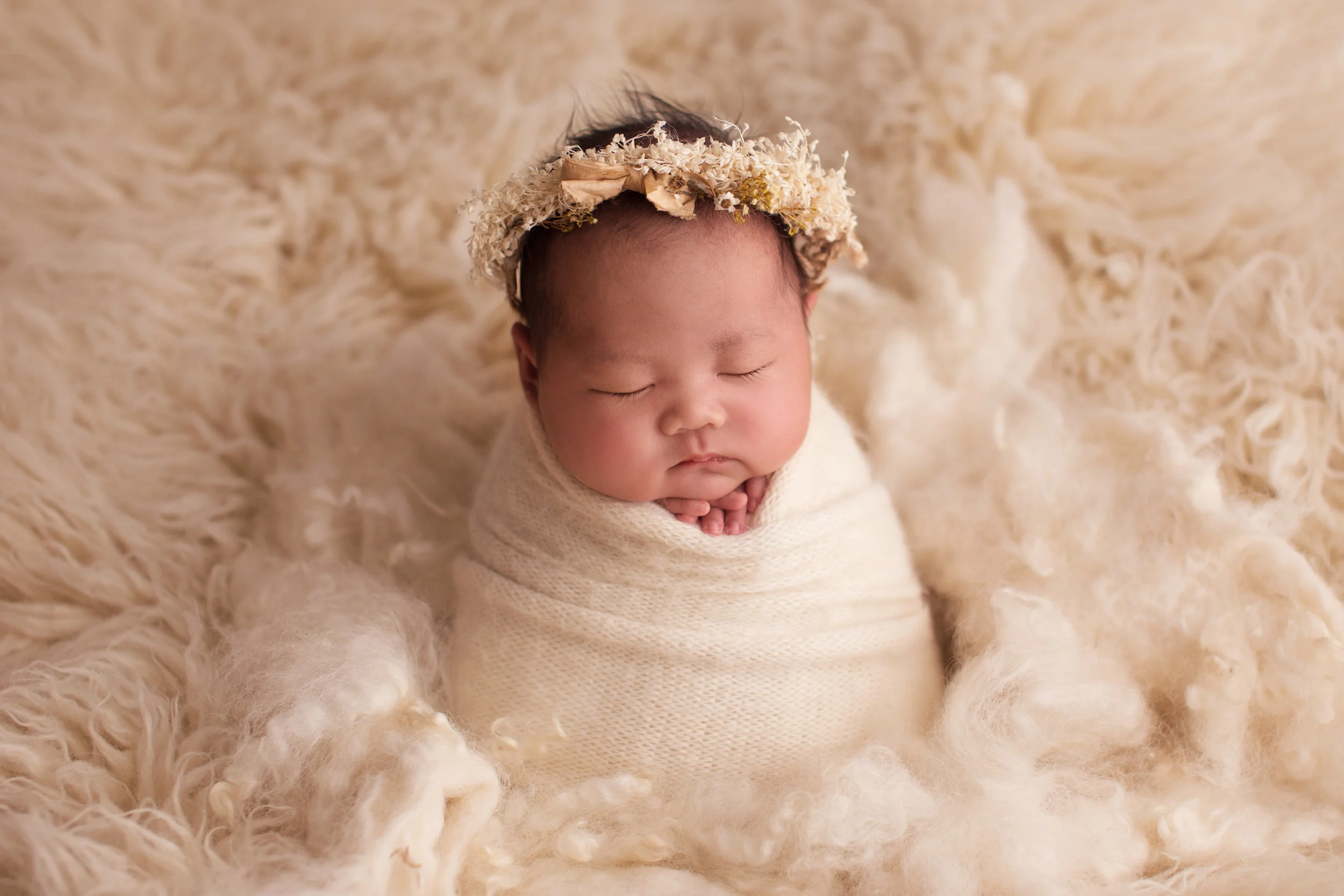 20180113 Callie-1.jpg