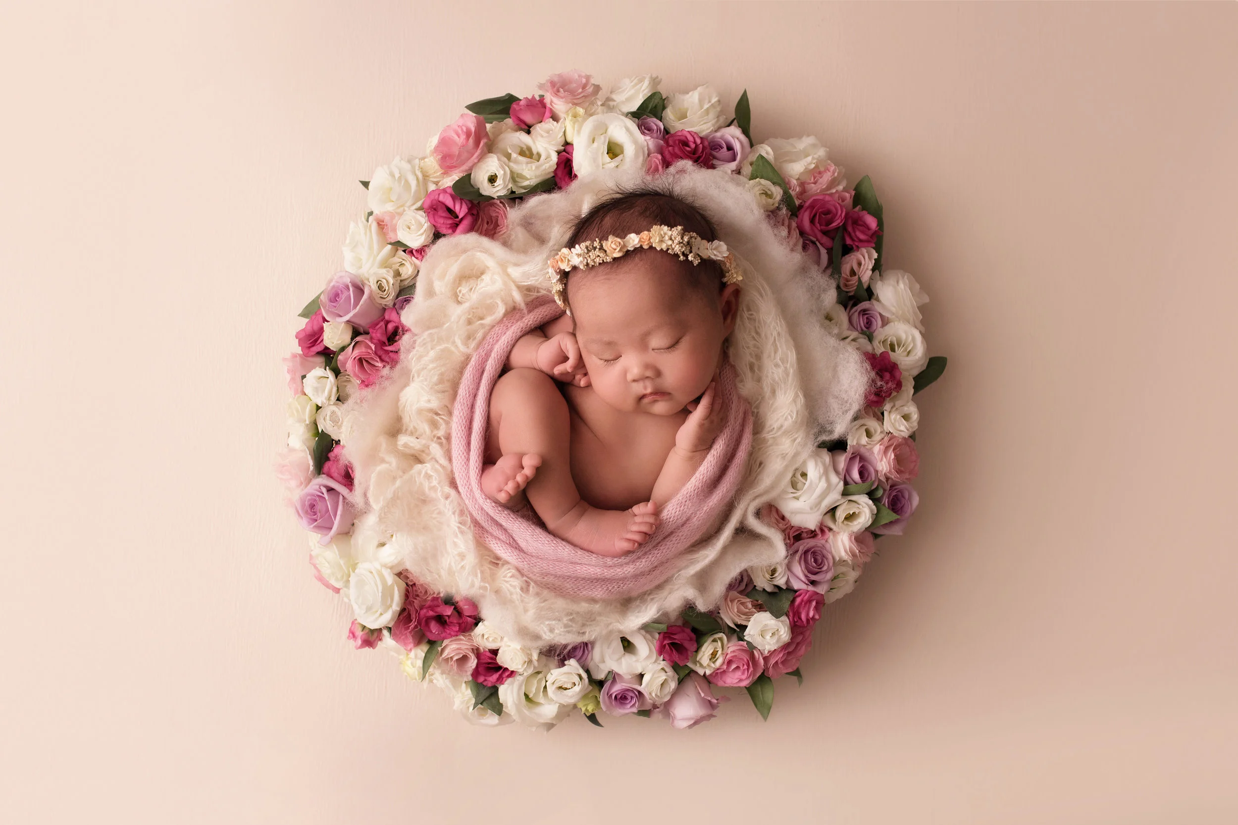 20180113 Callie-7.jpg
