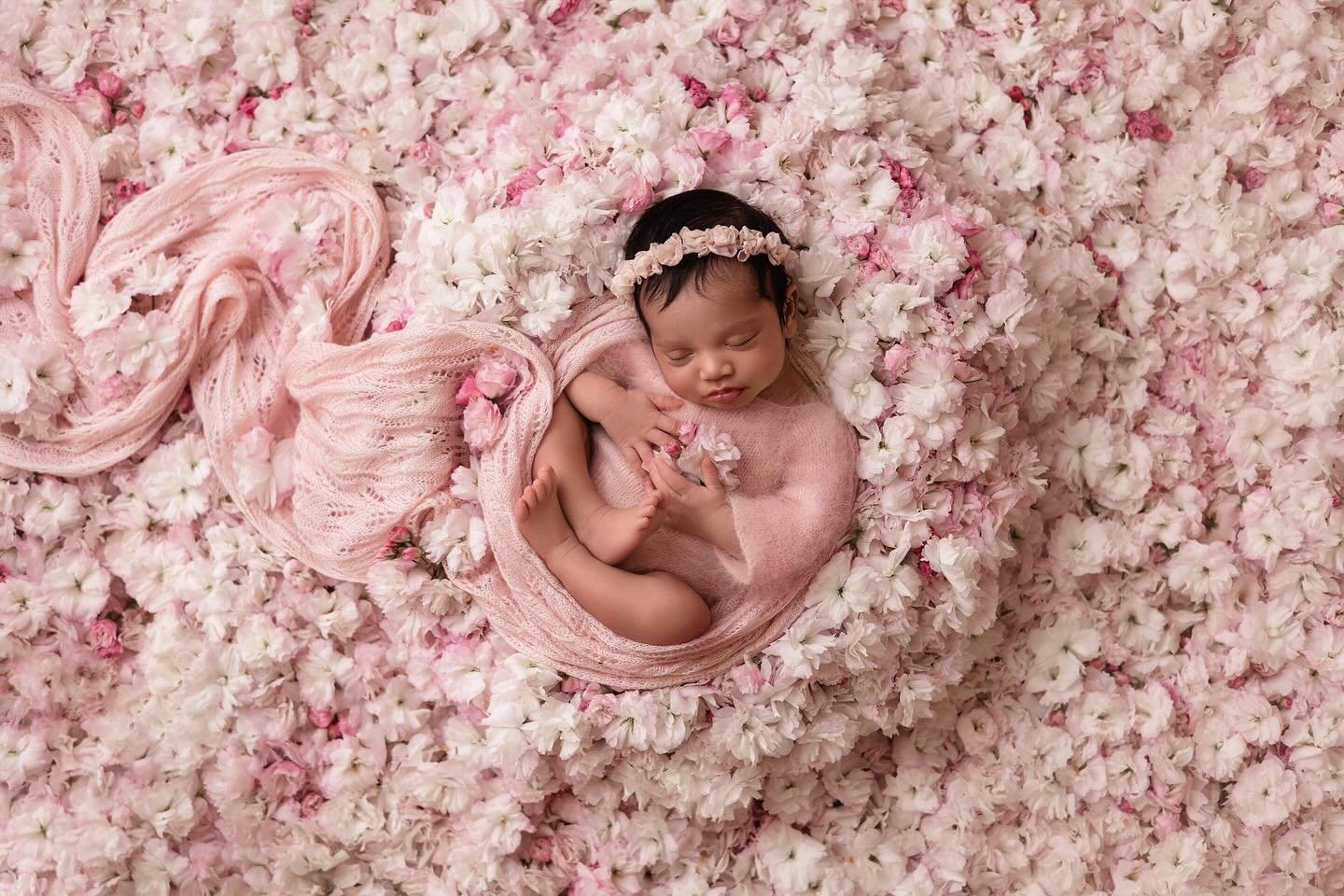 Celebrating new life with the last of the spring blossoms 🌸
