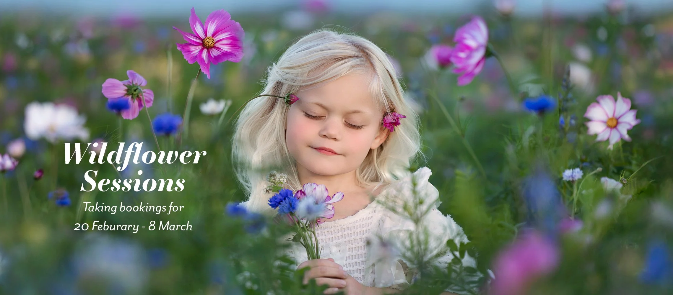 wildflower sessions.jpg