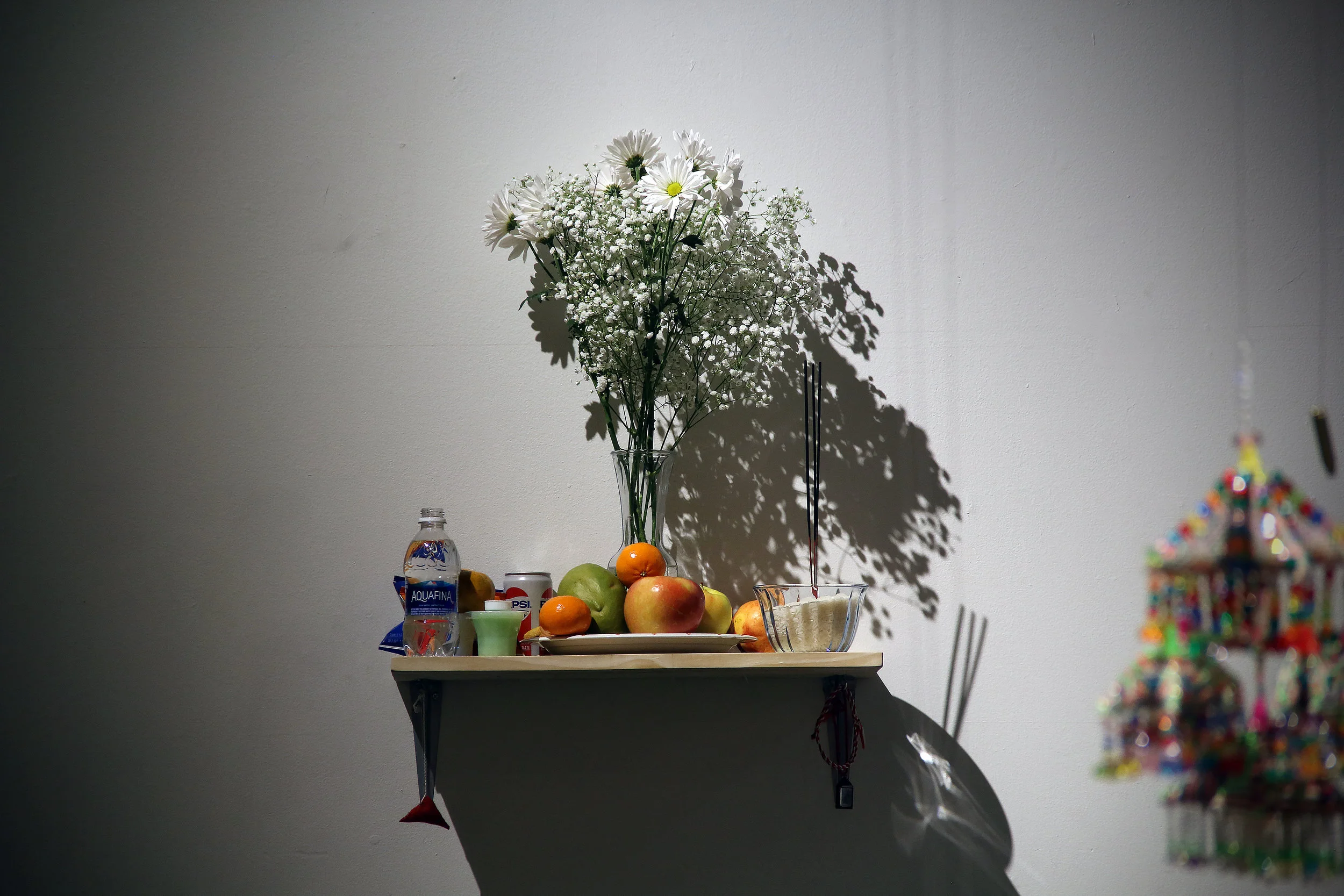 Tsev: Multi-Media Art Installation