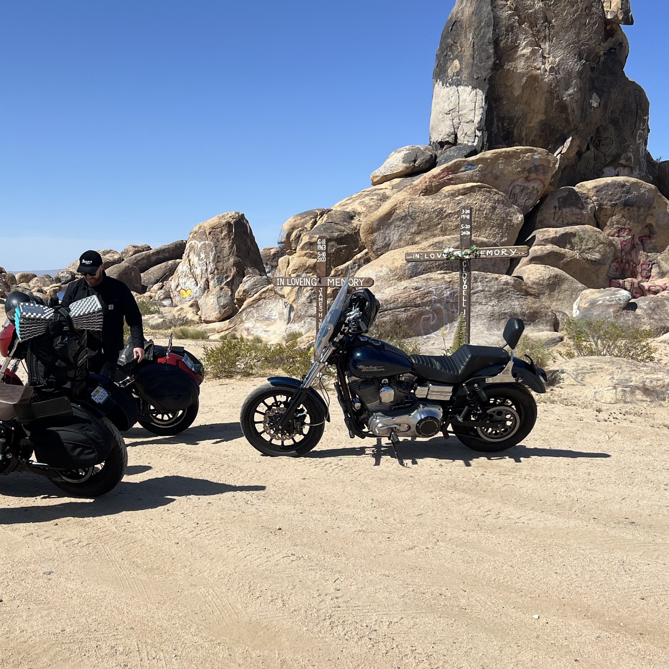Joshua Tree