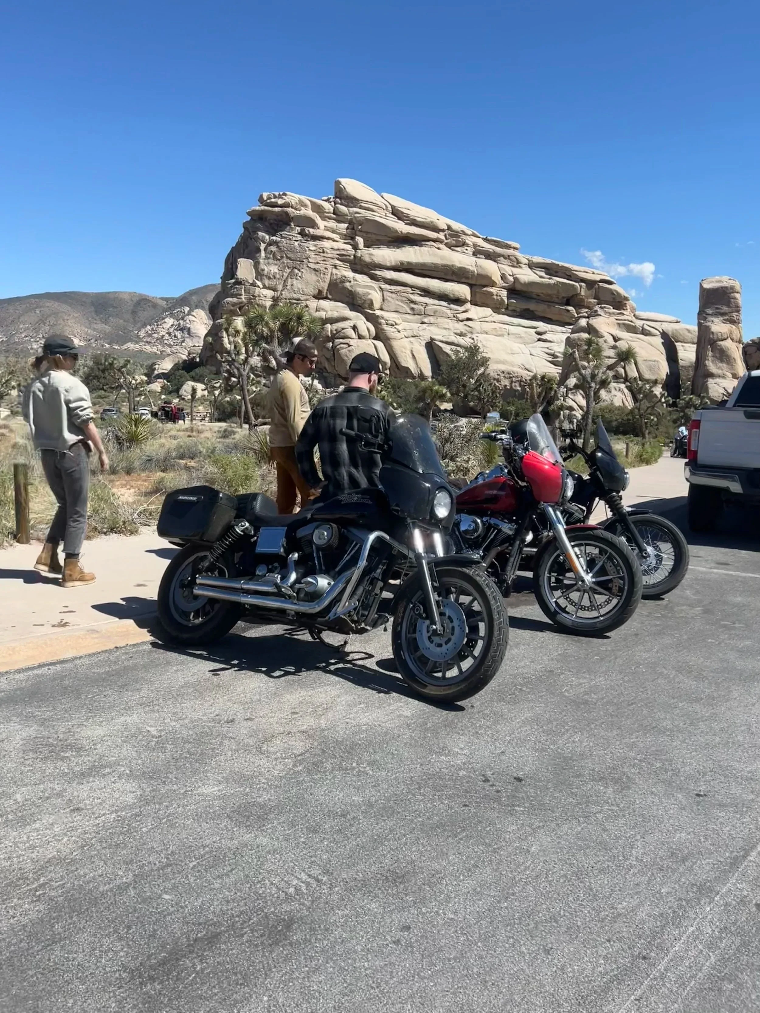 Joshua Tree