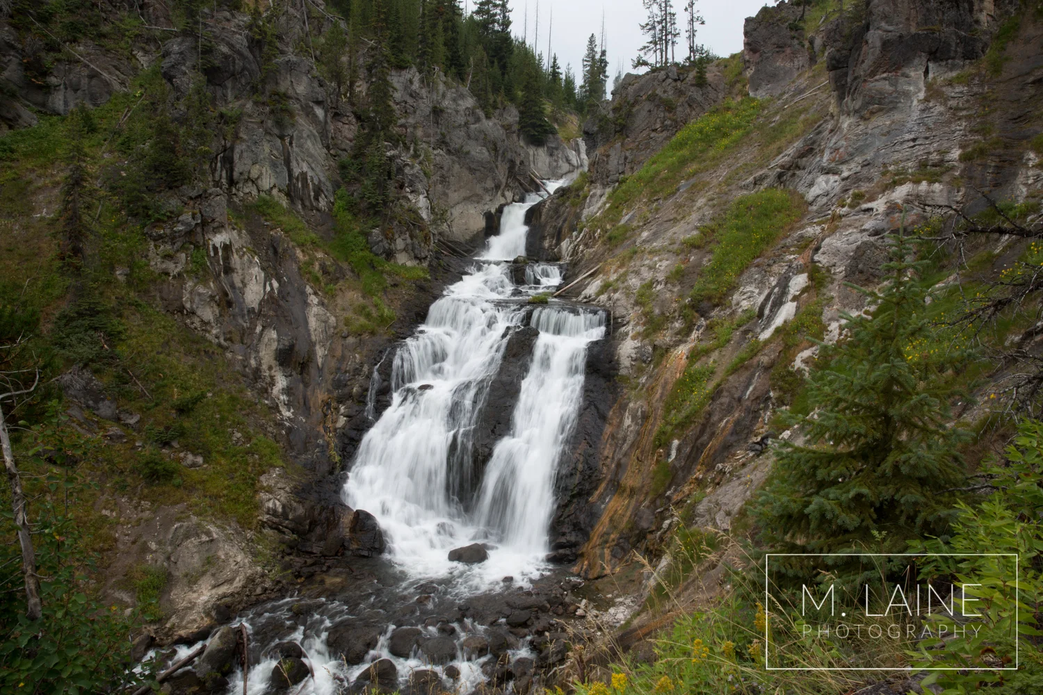 Yellowstone-2147.jpg