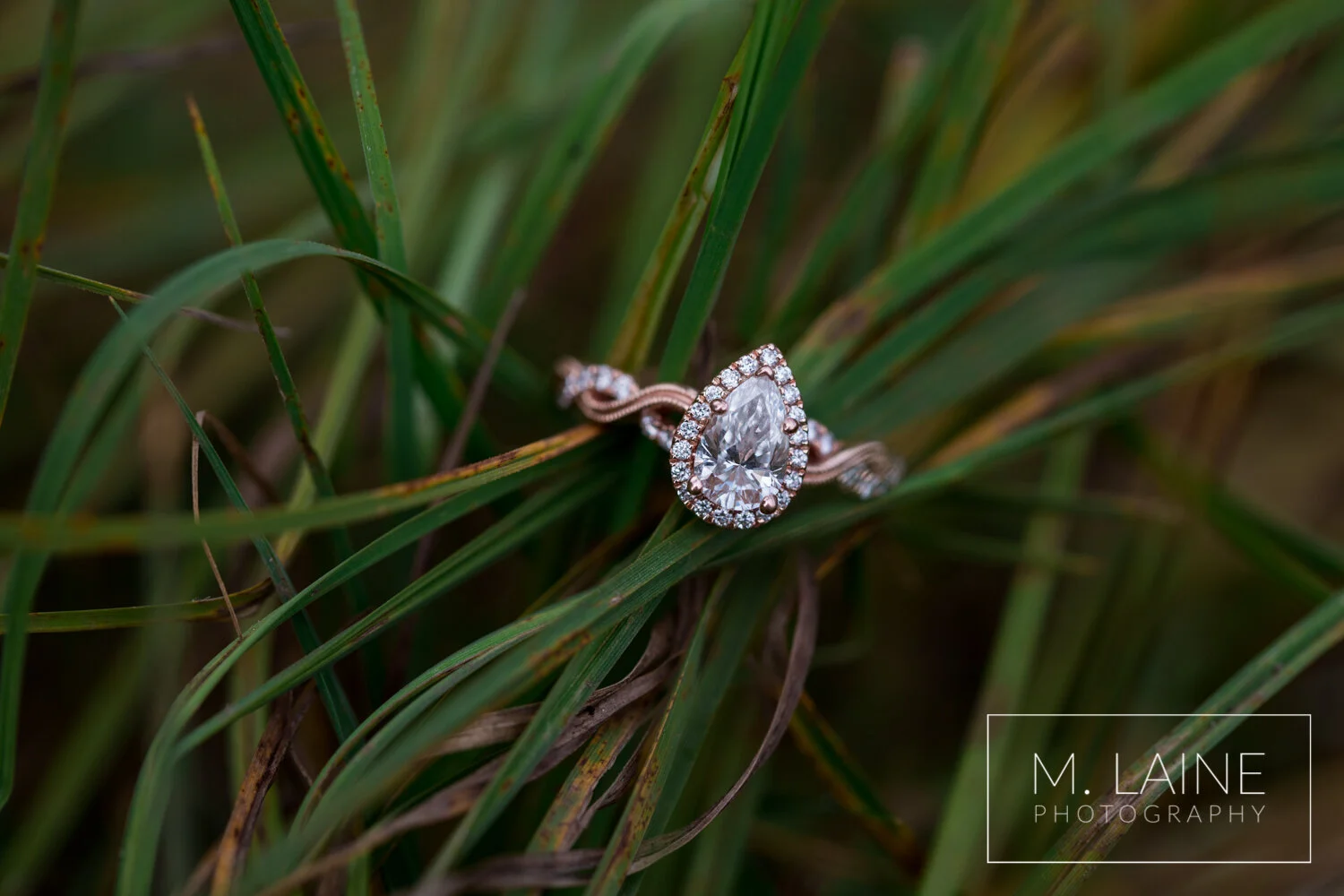 Mount-Rainier-Fall-Engagement-5494.jpg