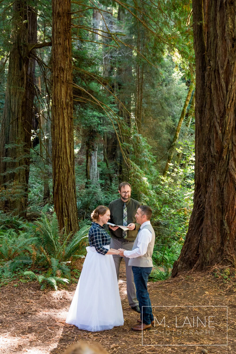 jedediah-smith-redwoods-state-park-wedding-3652.jpg