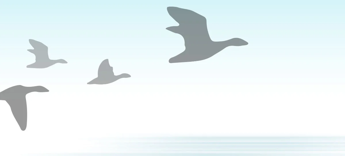 emerald-waters-geese2.jpg