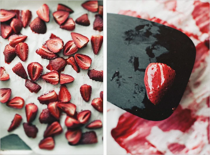 STRAWBERRY_ICE_CREAM_0003.jpg