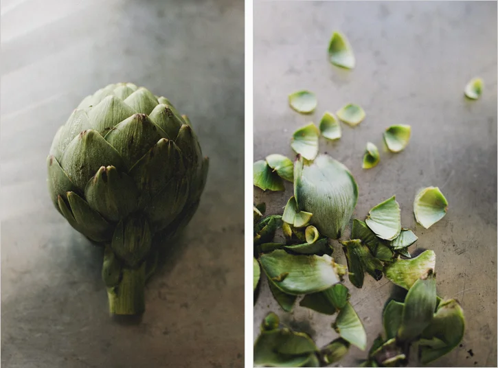 ARTICHOKE_0001.jpg