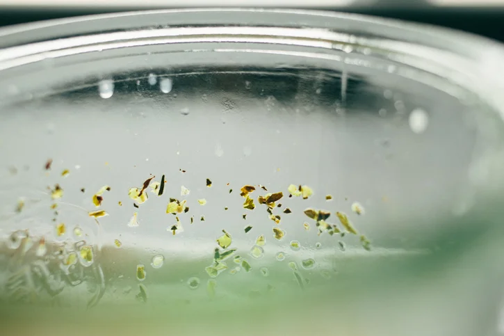 sprouted kitchen