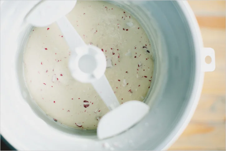 Peppermint Ice Cream . Sprouted Kitchen