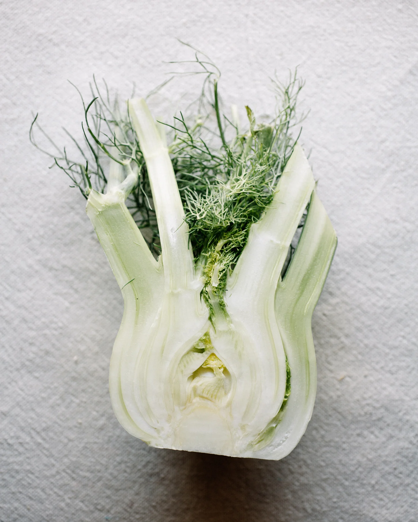 golen_fennel_kale_chop_01.jpg
