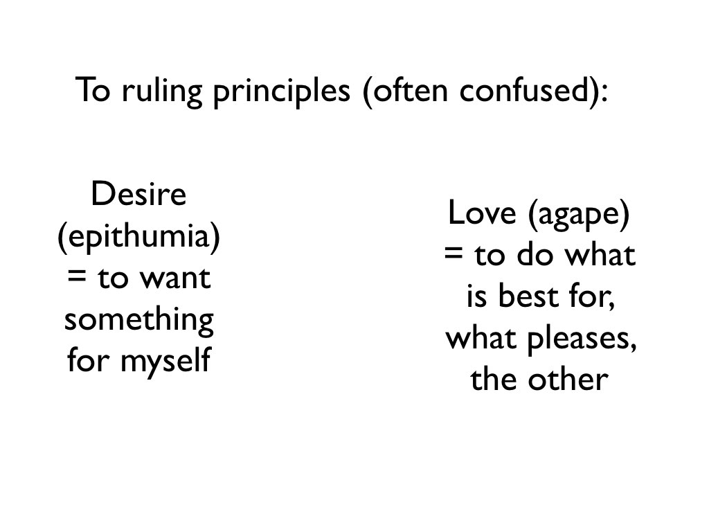 Renewing the thoughts.005.jpeg