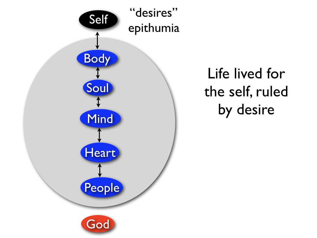 Renewing the thoughts.008.jpeg