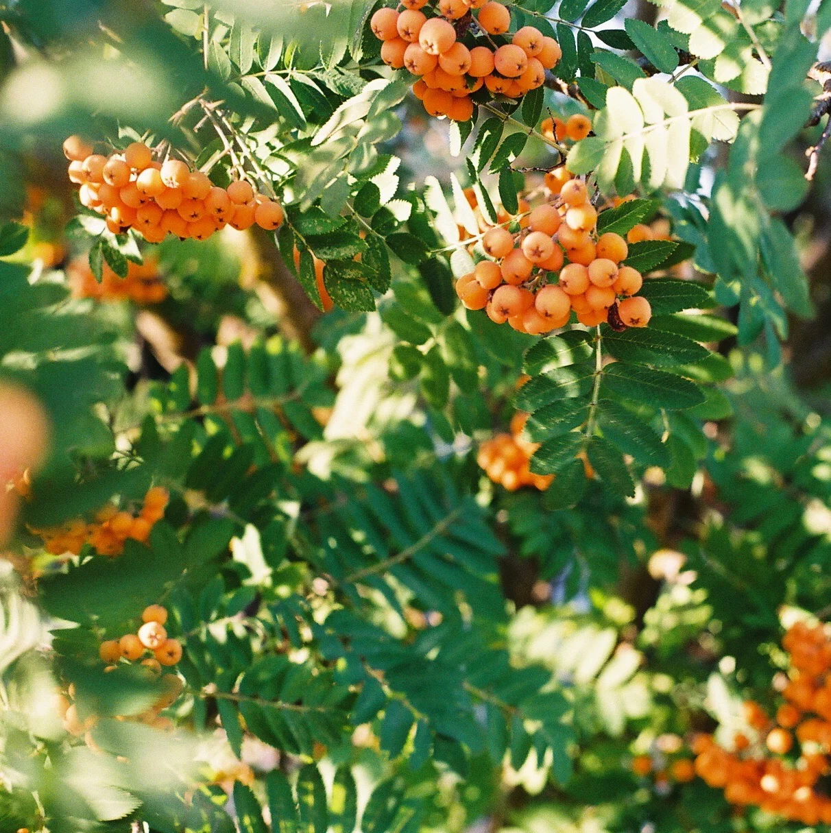 God's Love: Quality Over Quantity