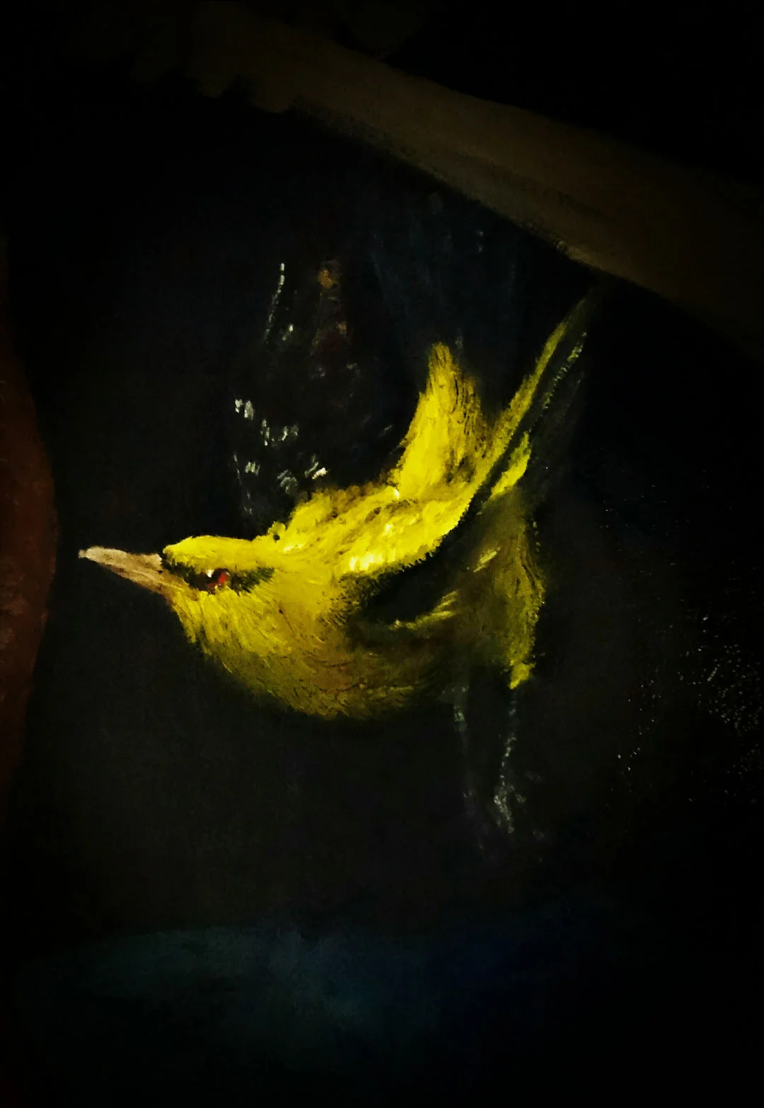 "Bird Study No.1" 2015 oil on canvas *sold *please contact skioding@gmail.com for more information