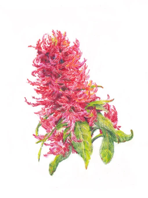 flower11.jpg