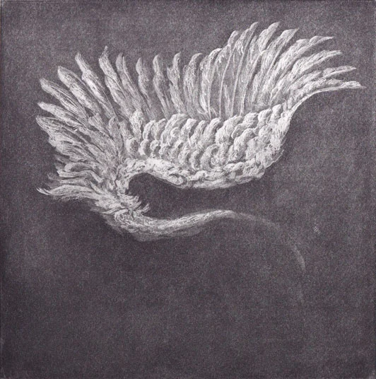 Wing+Study.jpg