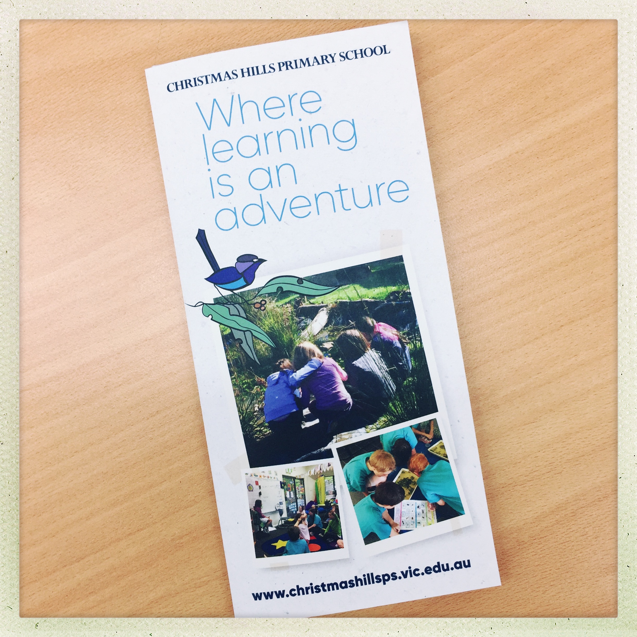 Where design is an adventure