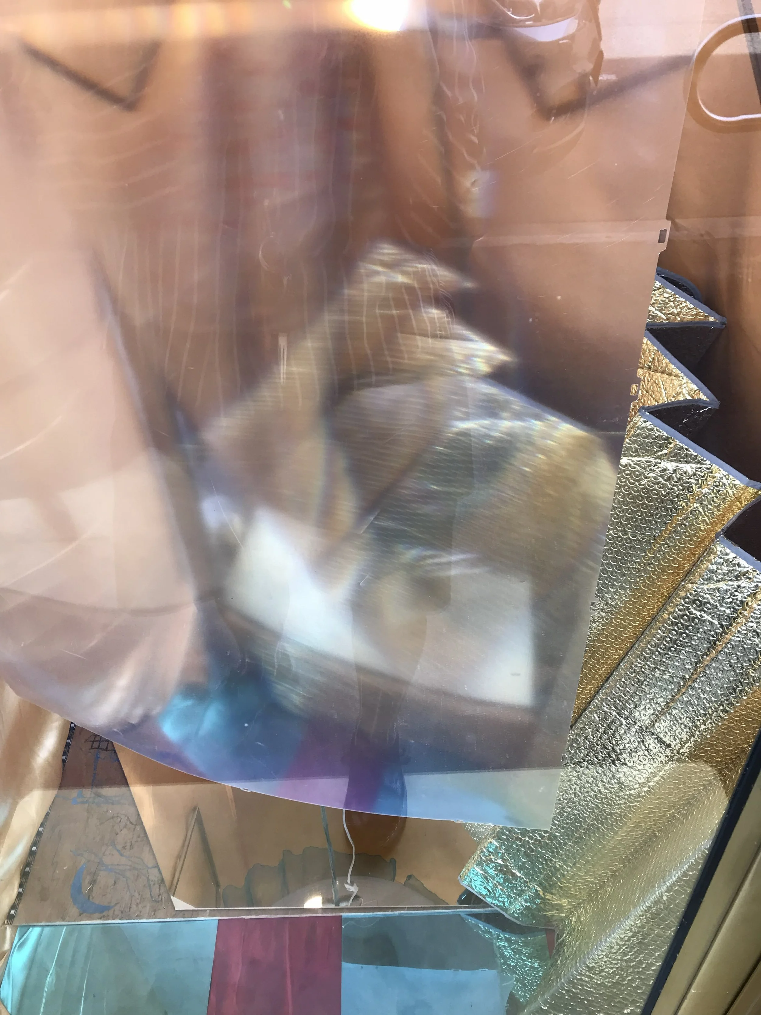 IMG_2842.jpeg