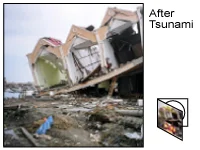 After Tsunami - Documentary