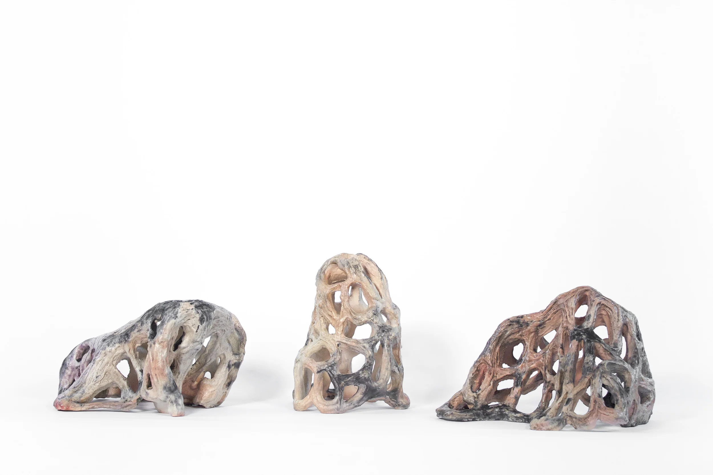 UNTITLED (SPECIMENS III, IV, AND V)