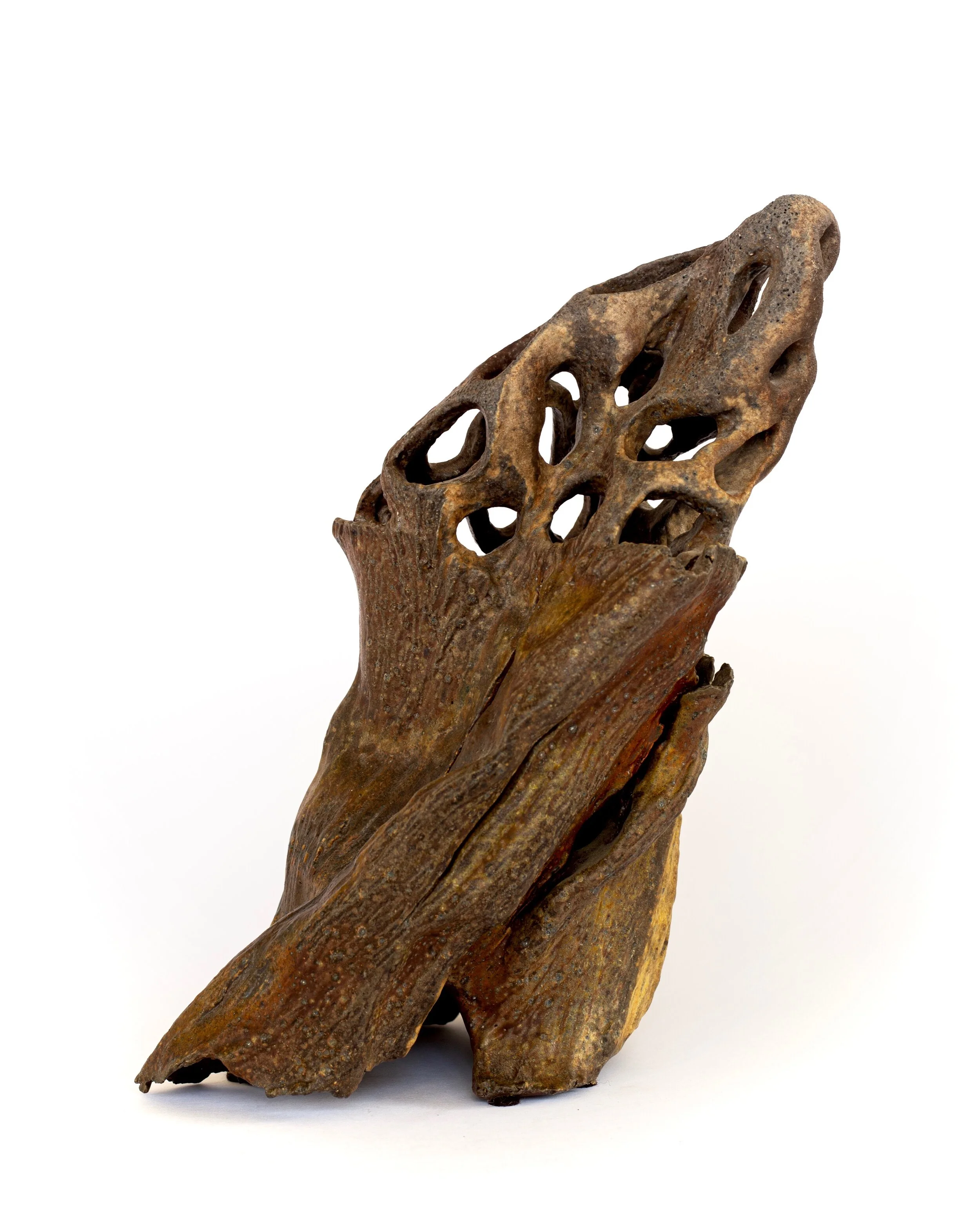 Untitled (Specimen I)