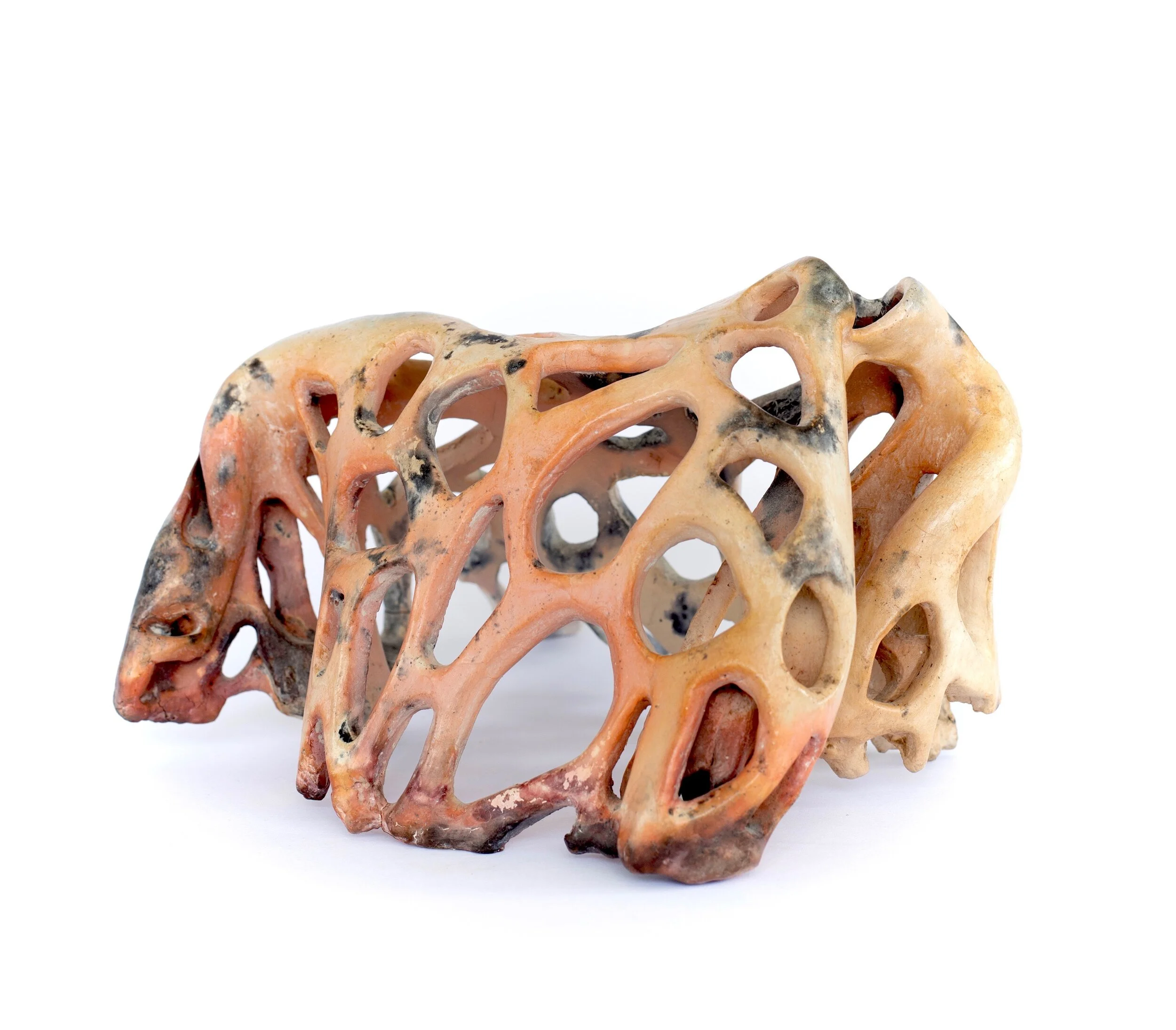 Untitled (Specimen II)