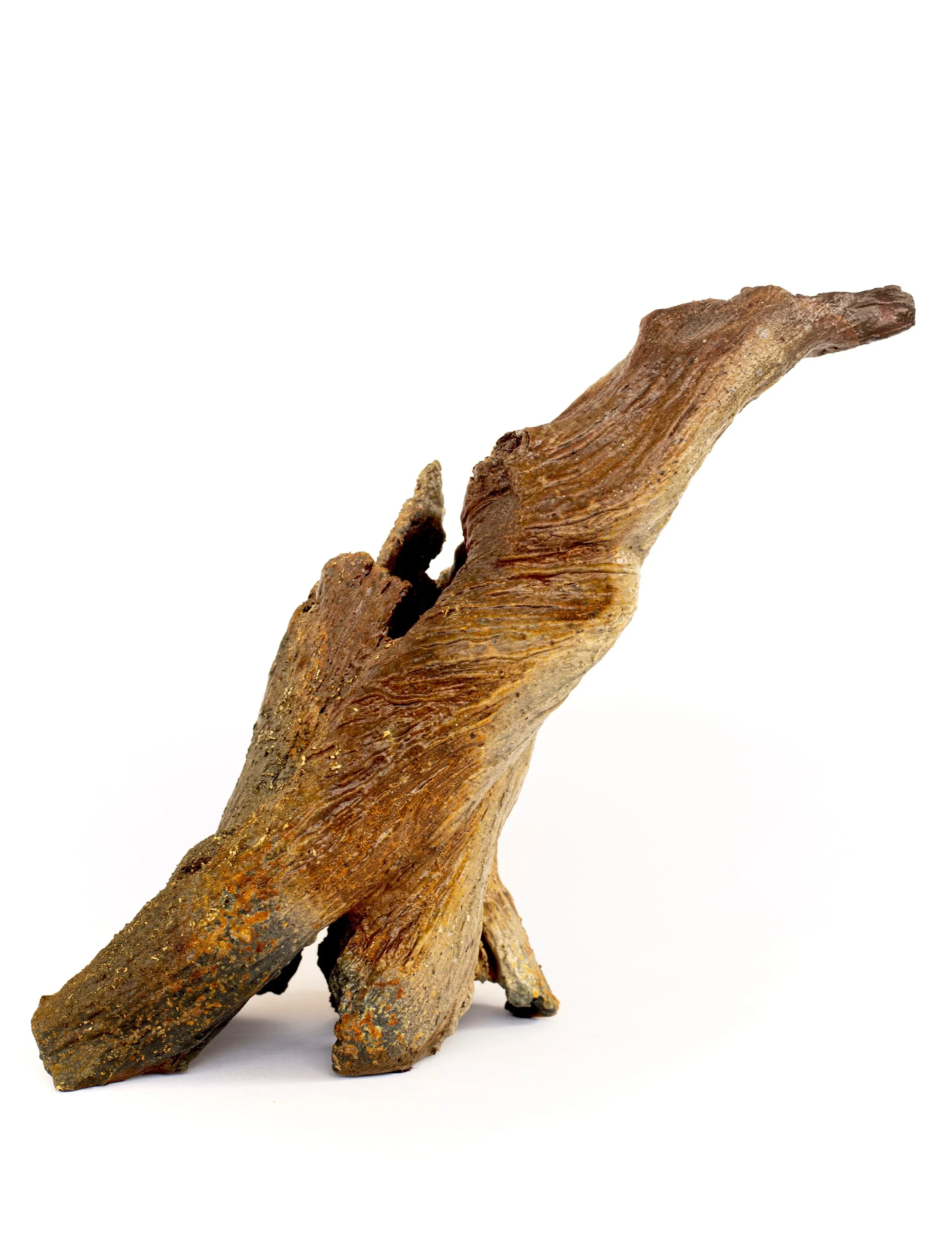 Untitled (Driftwood Study)