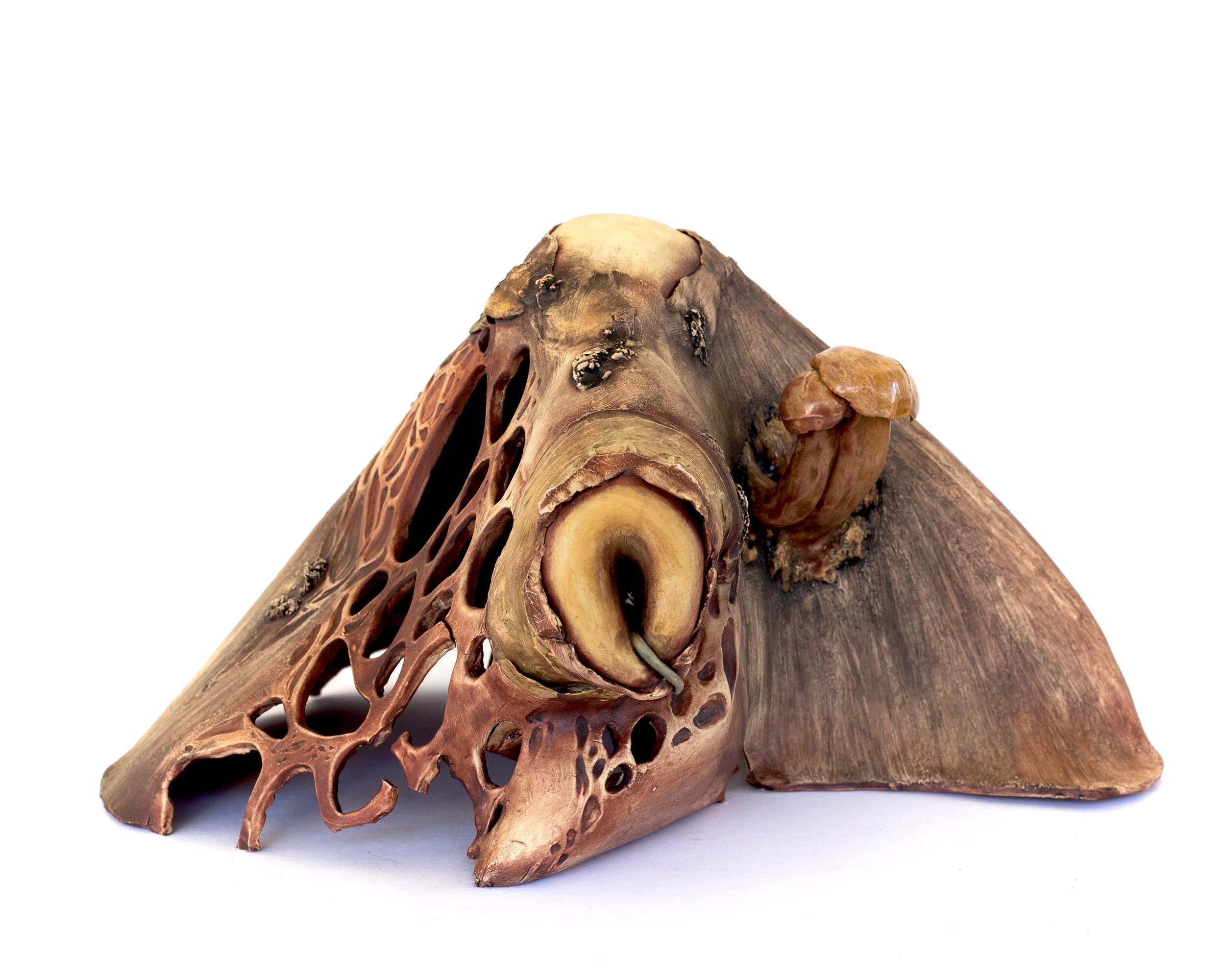 Ecclesia I: Veiled Lady- Phallus Indusiatus