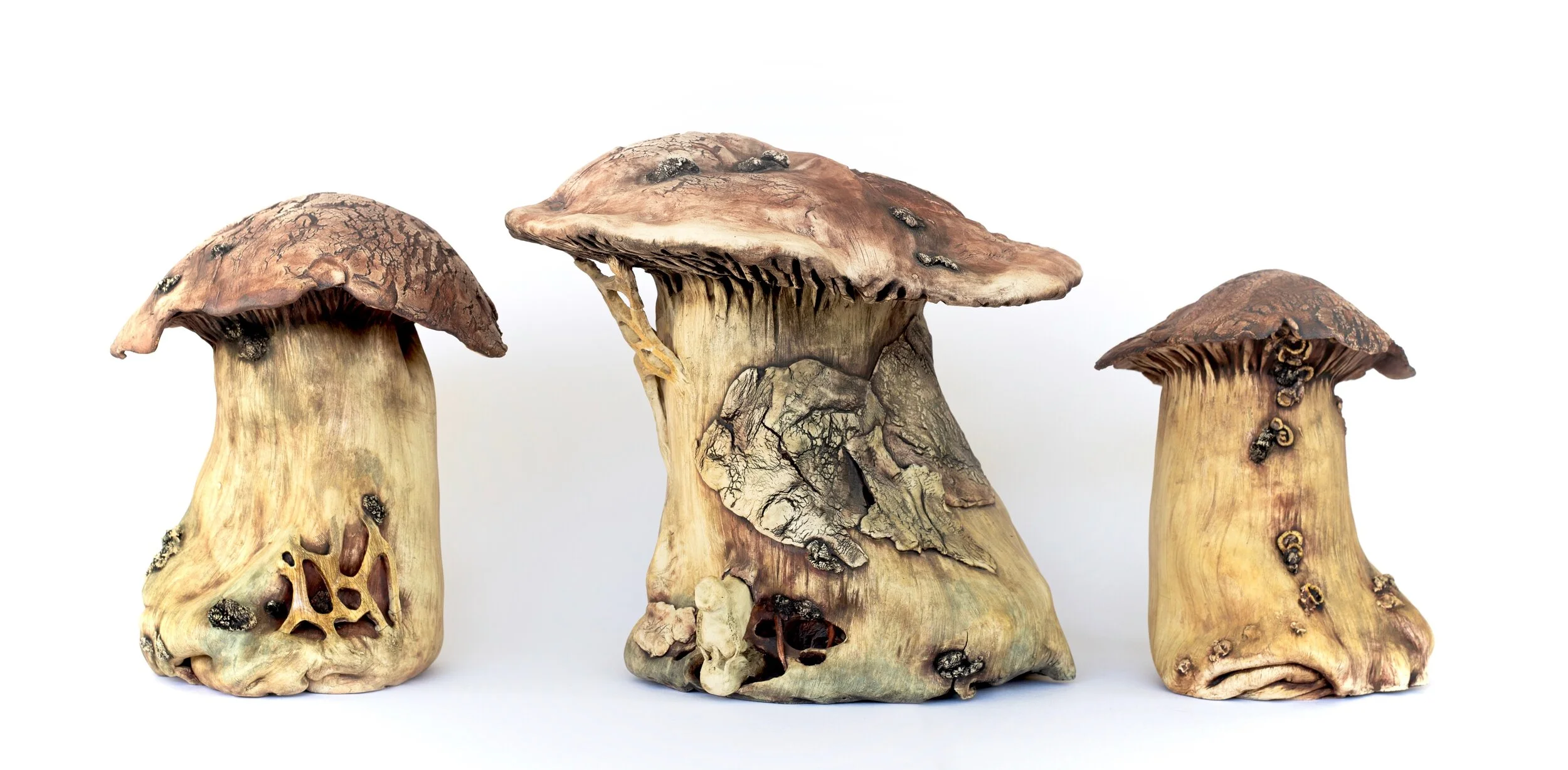 Ecclesia III, IV, and V: Deceivers- Laccaria Bicolor