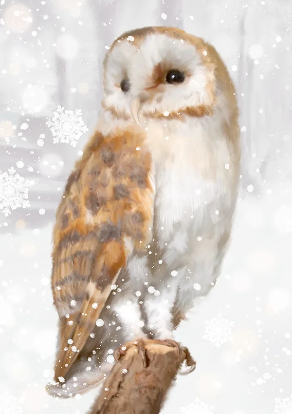 Snowy Barn Owl Digital Artwork by Martha Bowyer