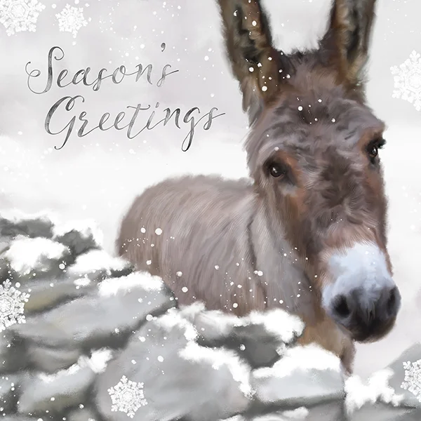 snowydonkeynorobinmarthabowyer.jpg