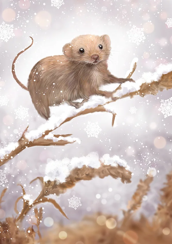 snowyfieldmouseprintmarthabowyer.jpg