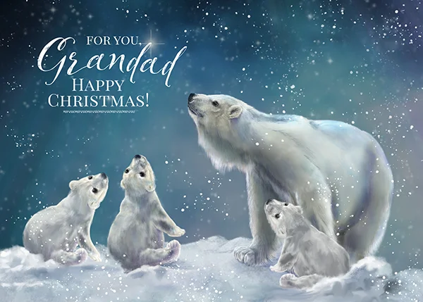 polarbearscustomgrandadmarthabowyer.jpg