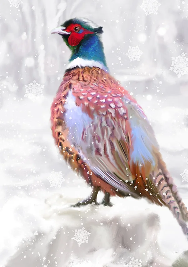 snowypheasantmarthabowyer.jpg