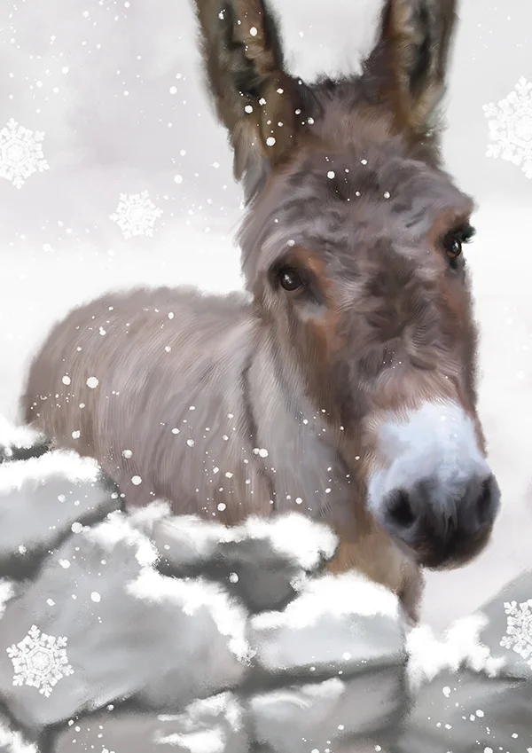 snowydonkeyprintmarthabowyer.jpg