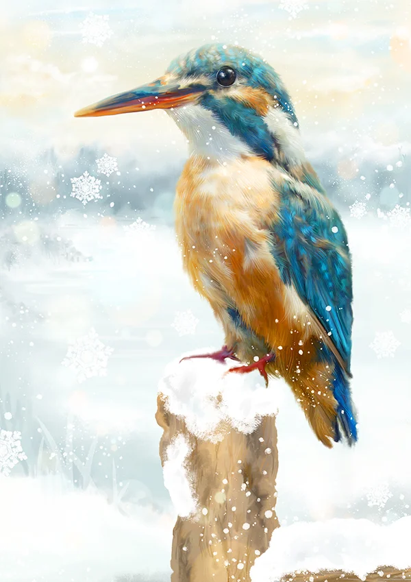 snowykingfishermarthabowyer.jpg