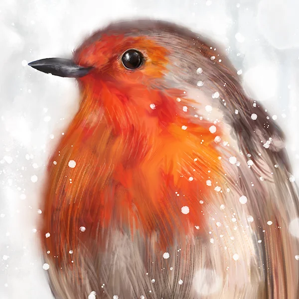 snowyrobindetail1marthabowyer.jpg