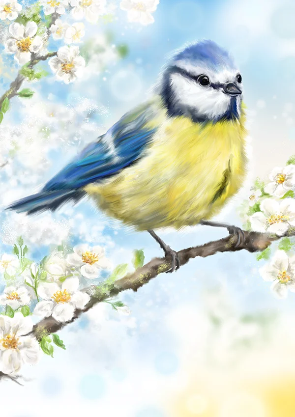 bluetitmarthabowyer.jpg