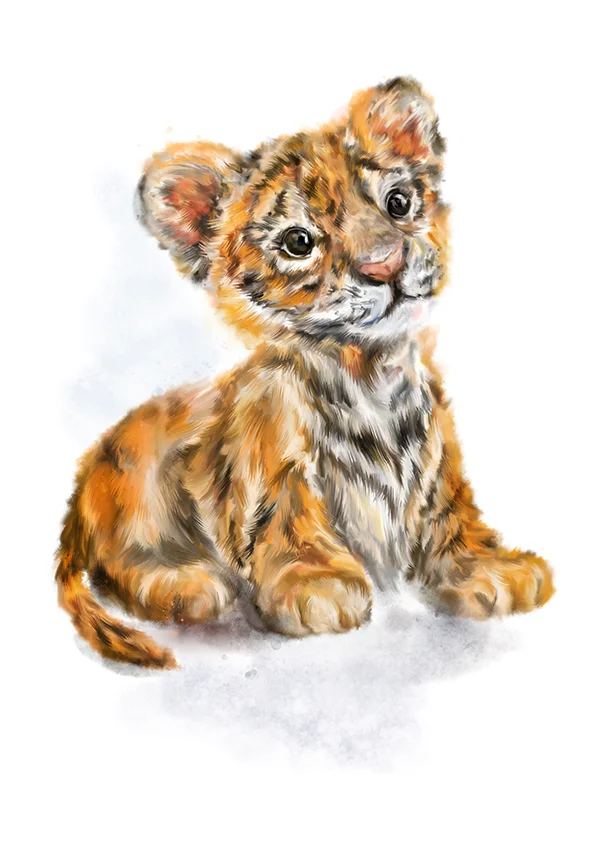 tillytigercubmarthabowyer.jpg