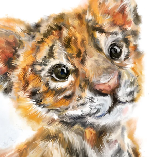 tillytigercub3marthabowyer.jpg