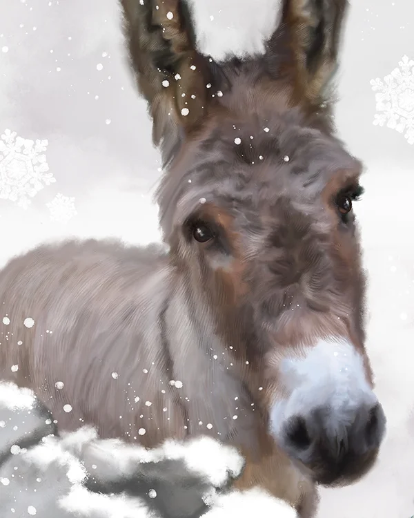 snowydonkeydetail1marthabowyer.jpg