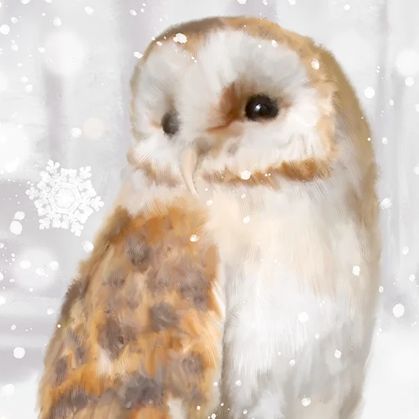 snowybarnowldetail3marthabowyer.jpg