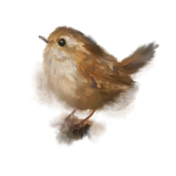 Wren Sketch.jpg